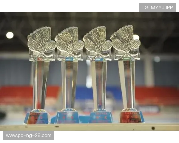 杭州羽毛球队与成都羽毛球队赛后复盘分析团队配合与战术执行的关键因素